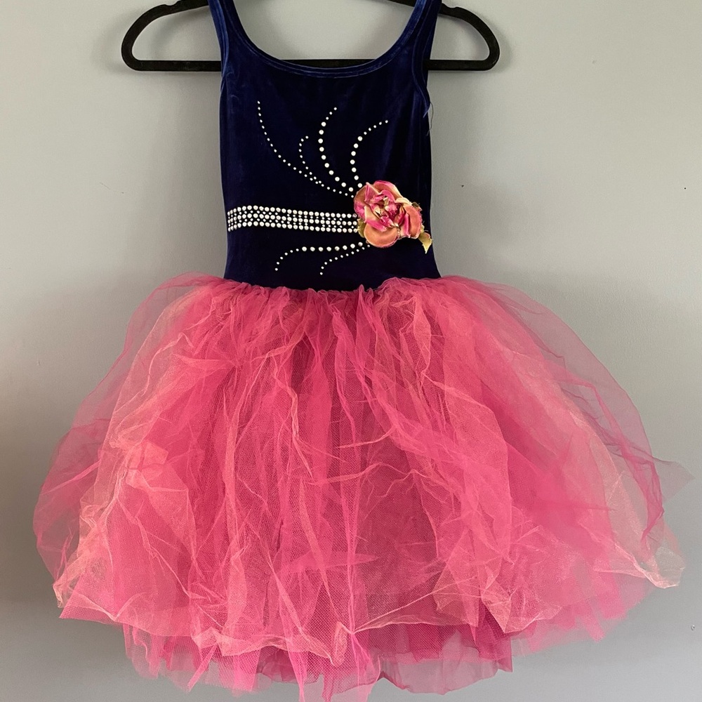 Pink and Blue Dance Costume with Rhinestones and Tulle
